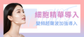 細胞精華導入（Cellvibe・加購）